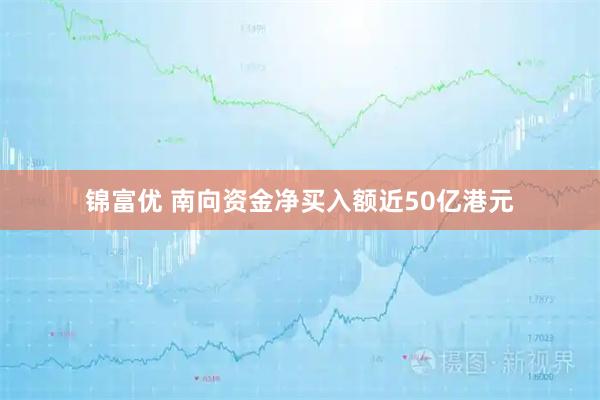 锦富优 南向资金净买入额近50亿港元