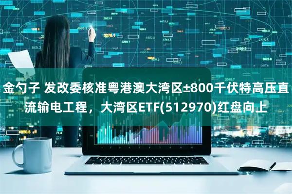 金勺子 发改委核准粤港澳大湾区±800千伏特高压直流输电工程，大湾区ETF(512970)红盘向上
