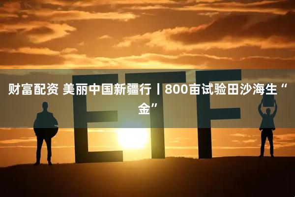 财富配资 美丽中国新疆行丨800亩试验田沙海生“金”