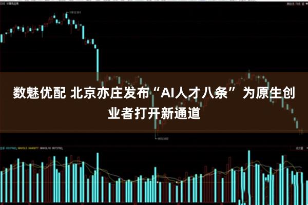数魅优配 北京亦庄发布“AI人才八条” 为原生创业者打开新通道