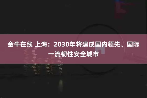 金牛在线 上海：2030年将建成国内领先、国际一流韧性安全城市